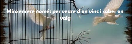 MaiteLago's profile banner image