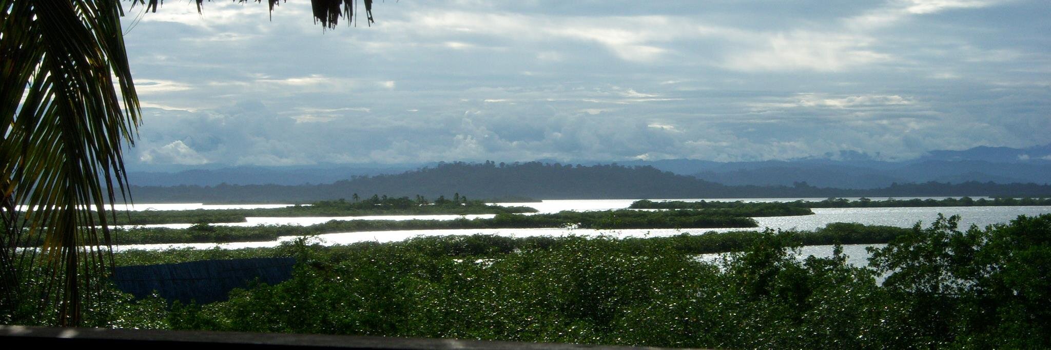 Haydée Osorio Ugarte banner