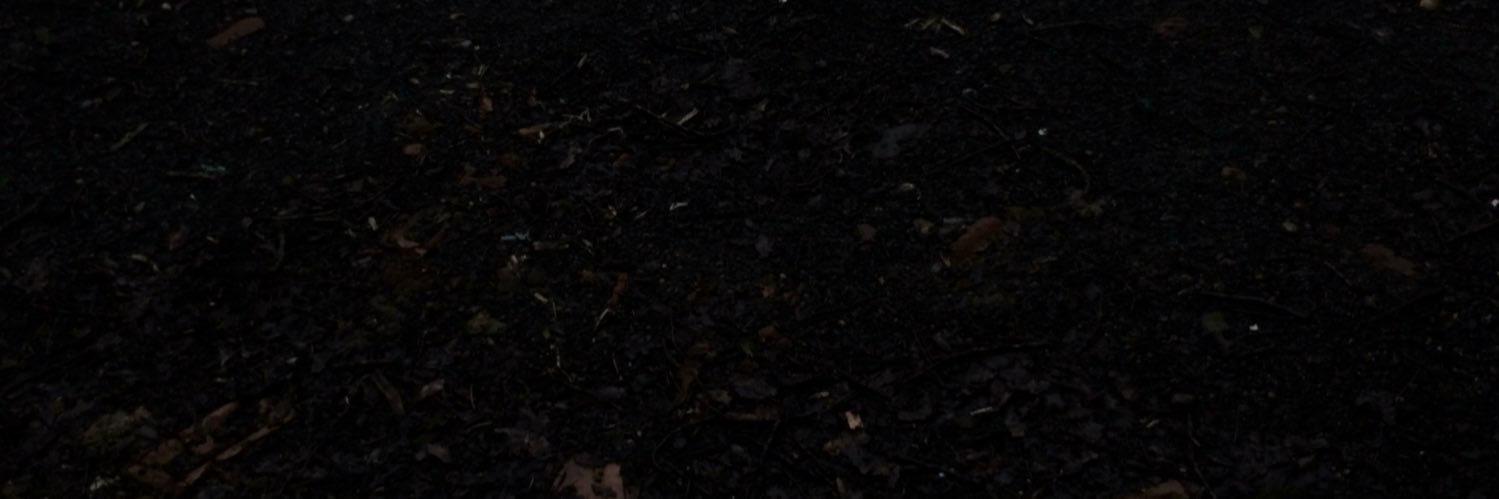 NewsfromSHS's profile banner image