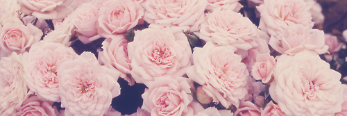 denayuliar's profile banner image