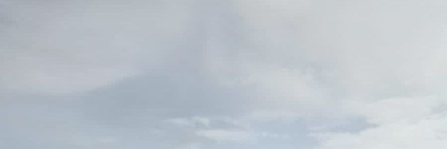 fueosa's profile banner image