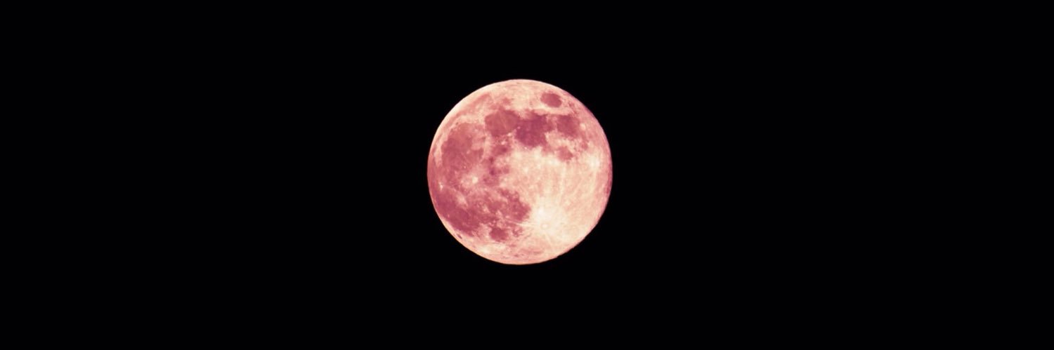 freedombotti's profile banner image