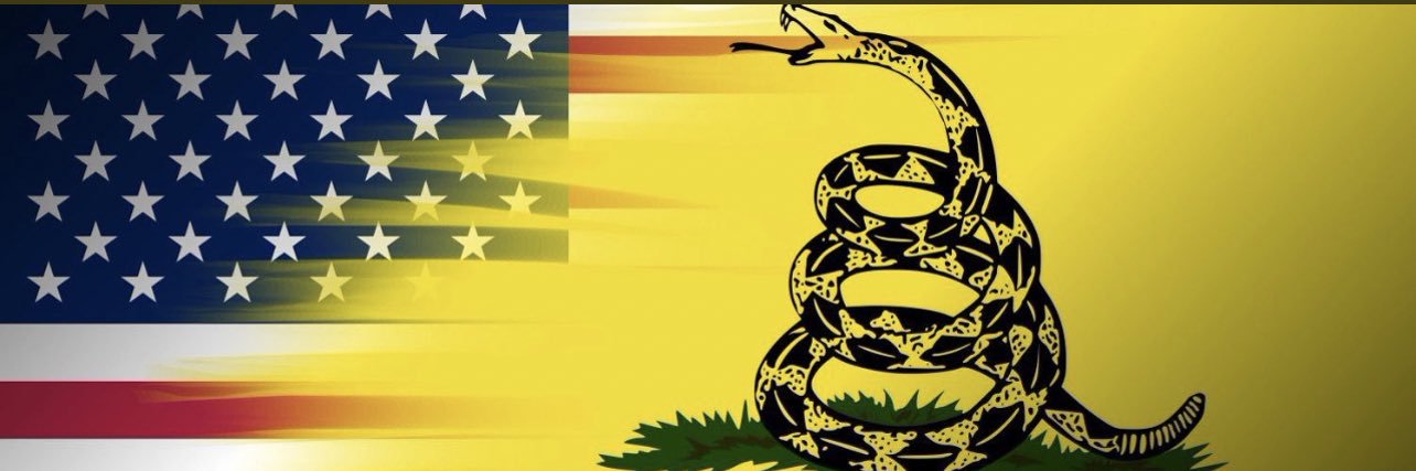 PITTS1776's profile banner image