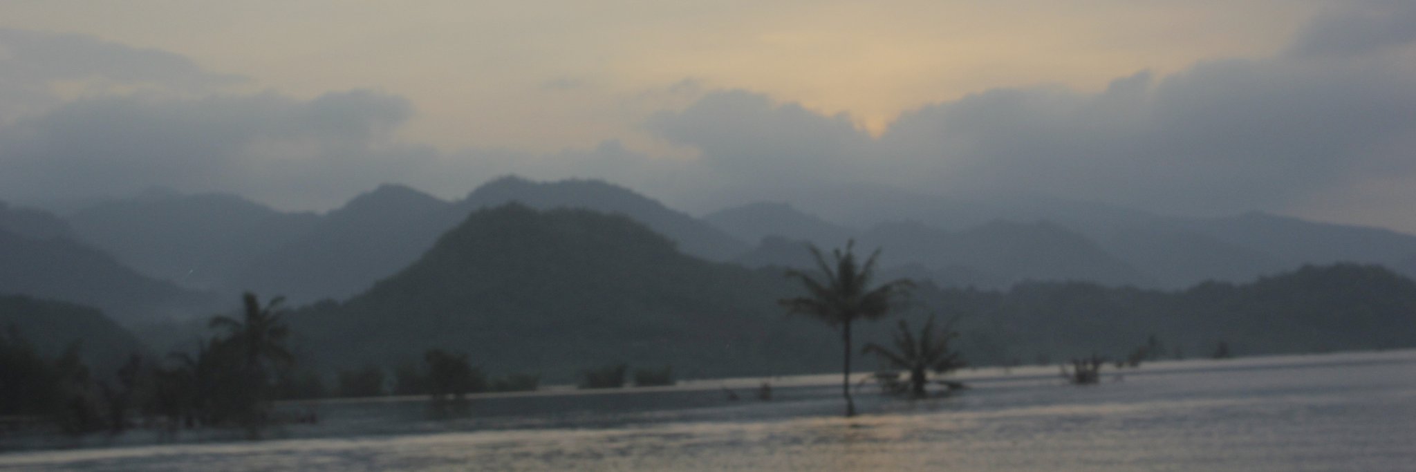 D_rex99's profile banner image