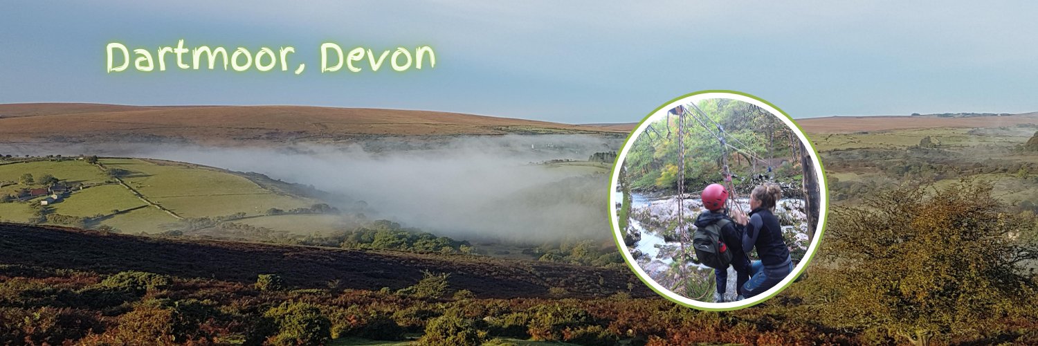 Devon Education Services banner