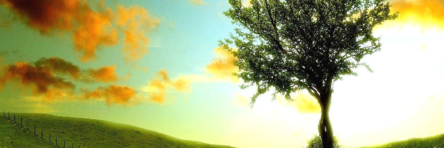 BrianJay_D's profile banner image