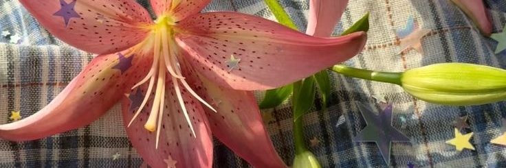 ꜱʏᴇʀᴀ banner