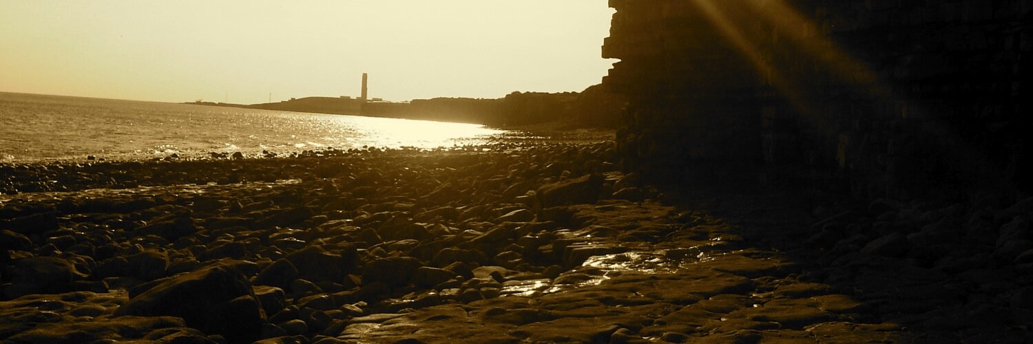 FortuneLaBrave's profile banner image