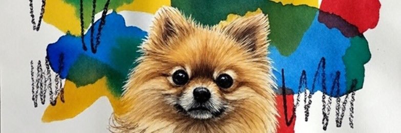 hikatafool's profile banner image