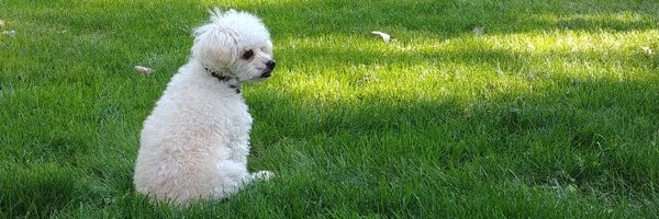 mdogstuff Profile Banner