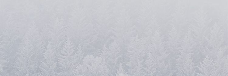 kris_harem's profile banner image