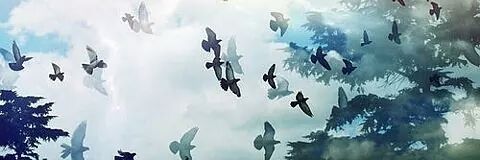 HiMahalTweets's profile banner image