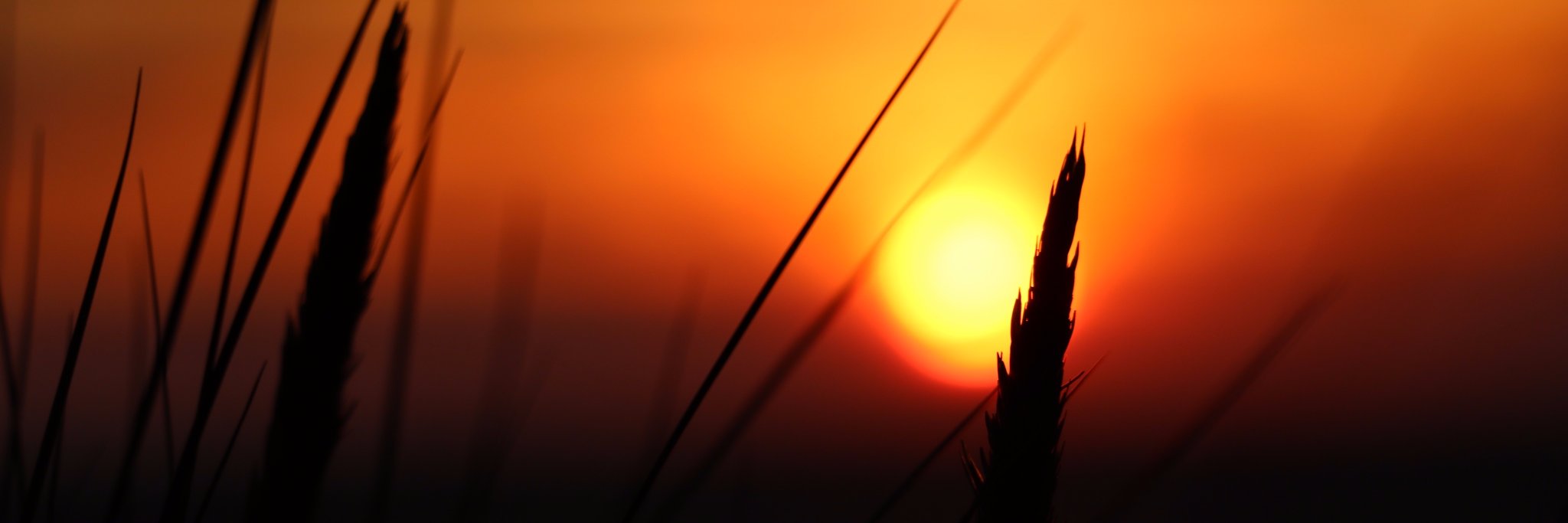 Crumships's profile banner image