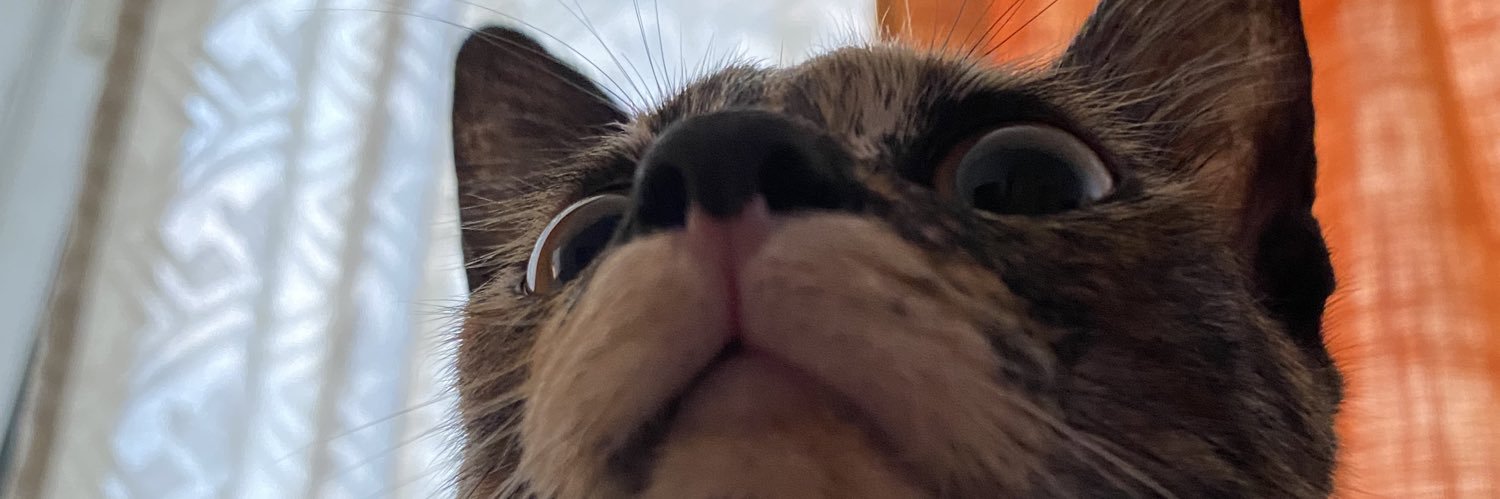 wizardofnun's profile banner image