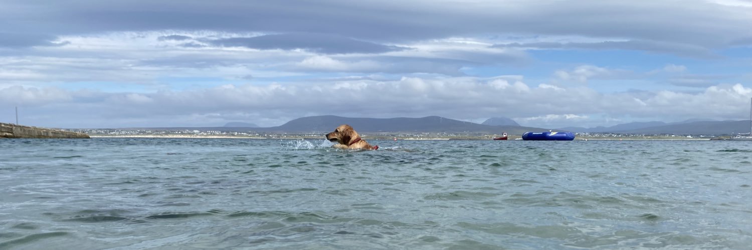 Dr Seán MacGairbhith 🌈 banner