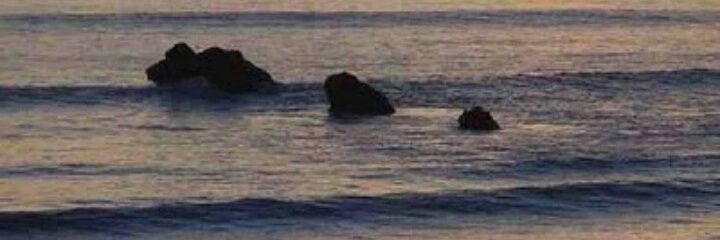beatrizgoncal's profile banner image