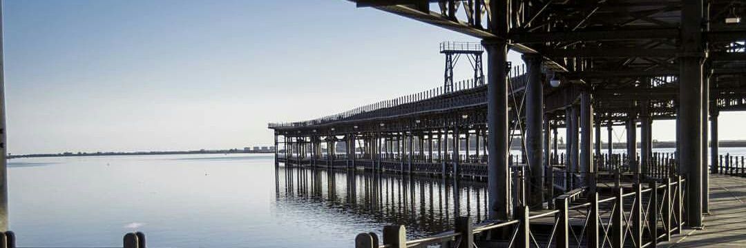 Neoclor (parodia) banner