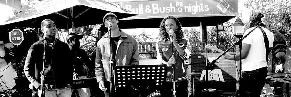 PerfectPitchbw's profile banner image