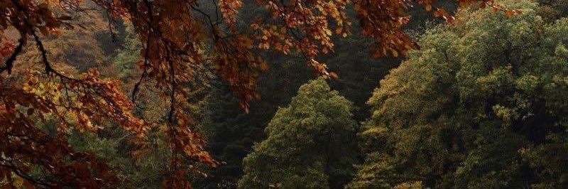 Amee7707's profile banner image