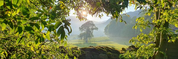 MichaelDearnley Profile Banner