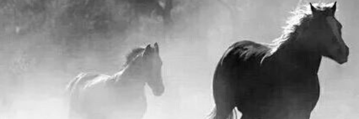 sskhgs33's profile banner image