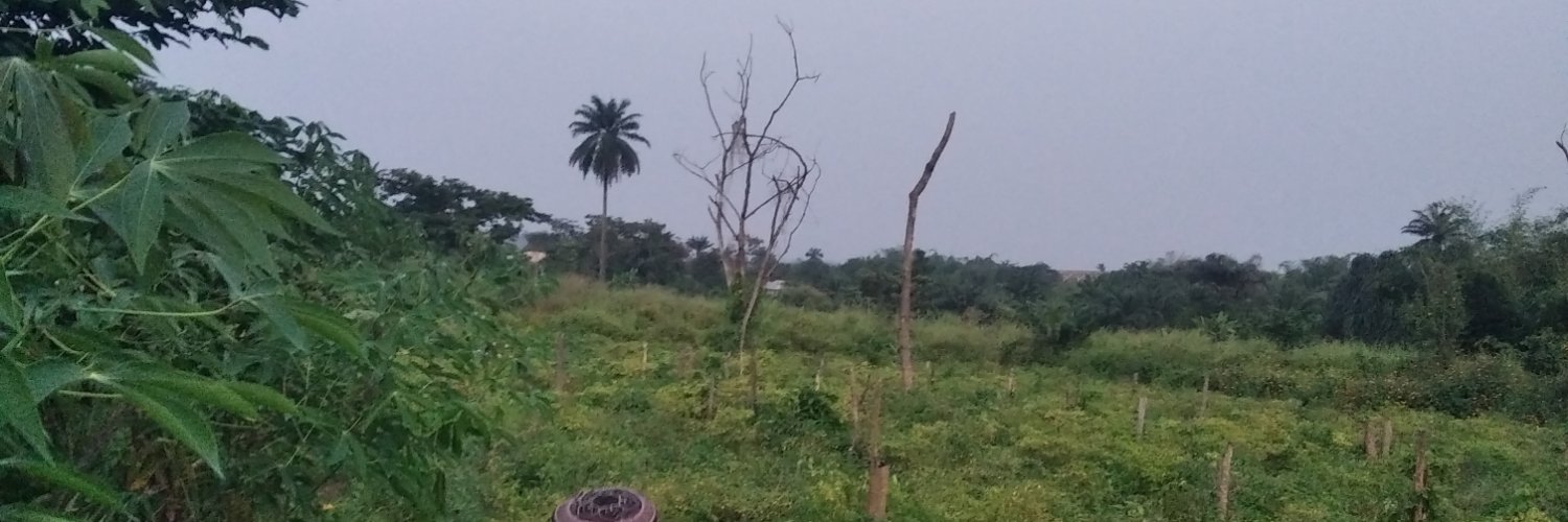 Cengelbaba's profile banner image