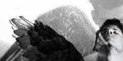 lassiterVL's profile banner image