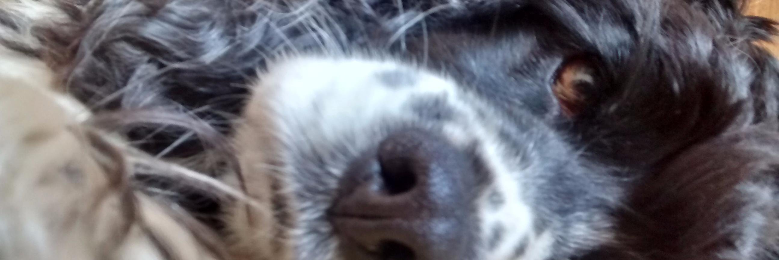 RoRojasG's profile banner image