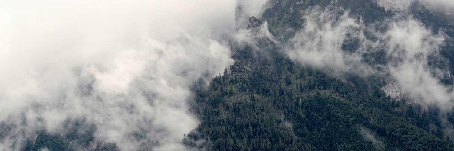 that ticket guy banner