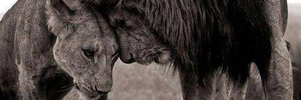 aly223 Profile Banner