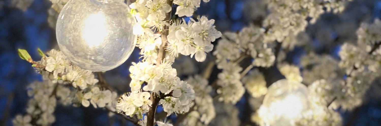 LineaEdvardsson's profile banner image