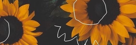 Agos4567's profile banner image