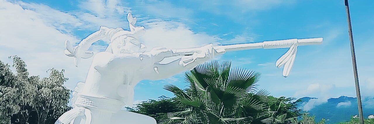 UTSelva2's profile banner image