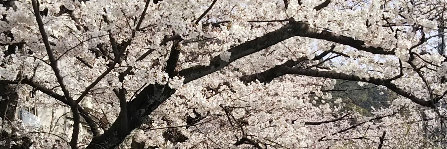 hiroundertree's profile banner image