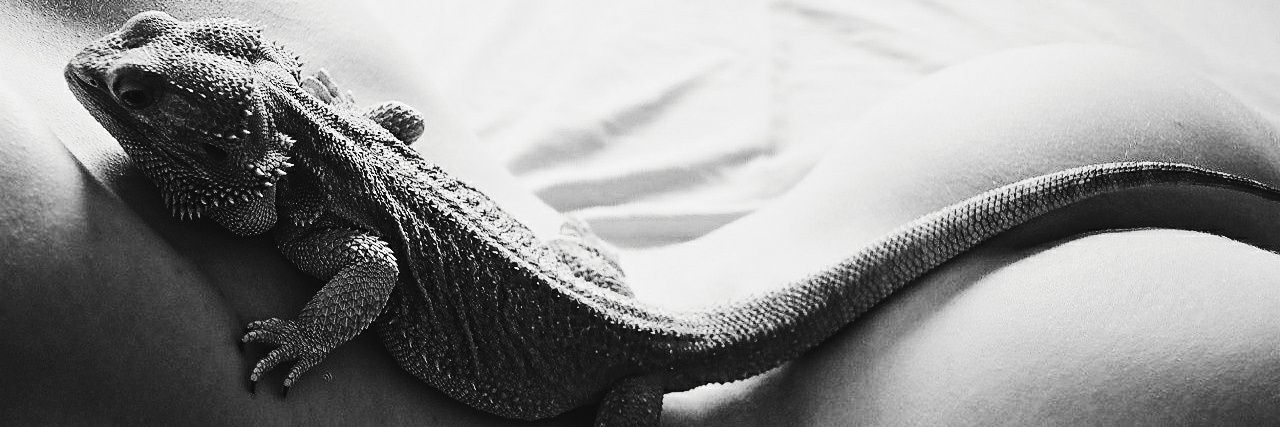 147Angelina's profile banner image