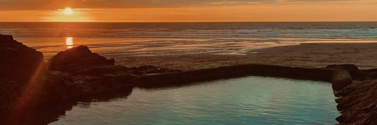 taylor ell banner