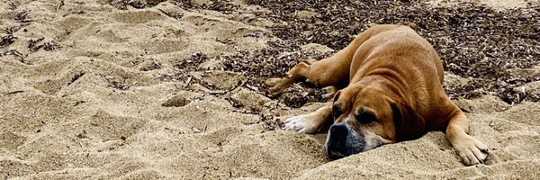 kofi2go Profile Banner