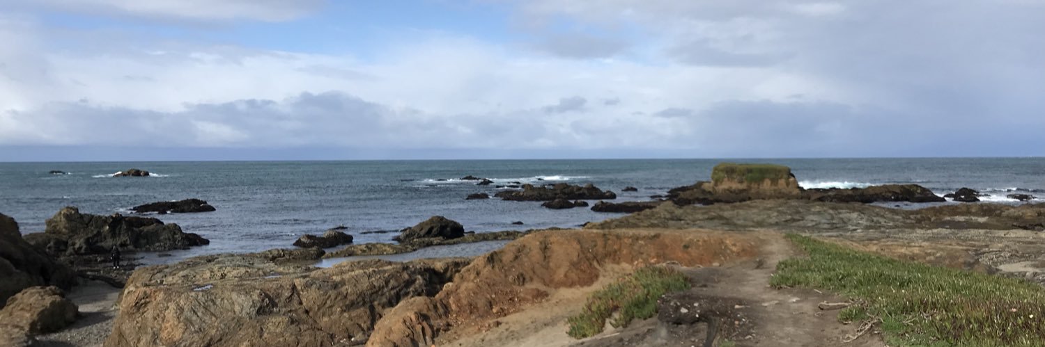 STERN FAN GIRL banner