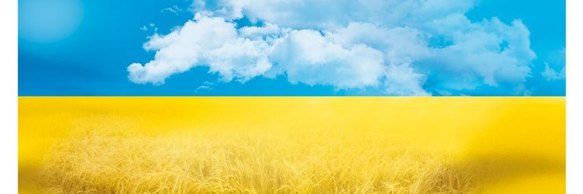 sidose1's profile banner image