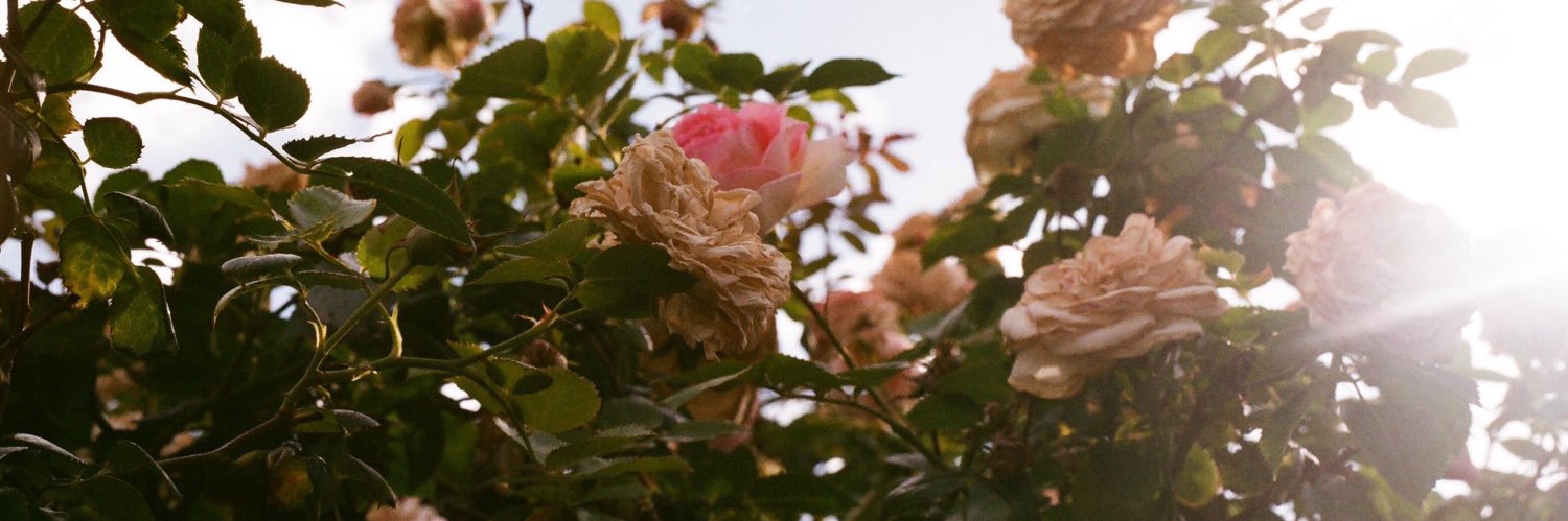 andyy_michelle5's profile banner image