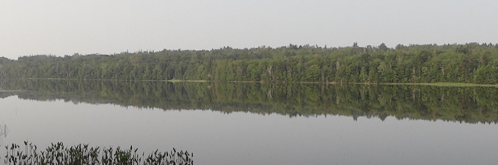 WildernessObs's profile banner image