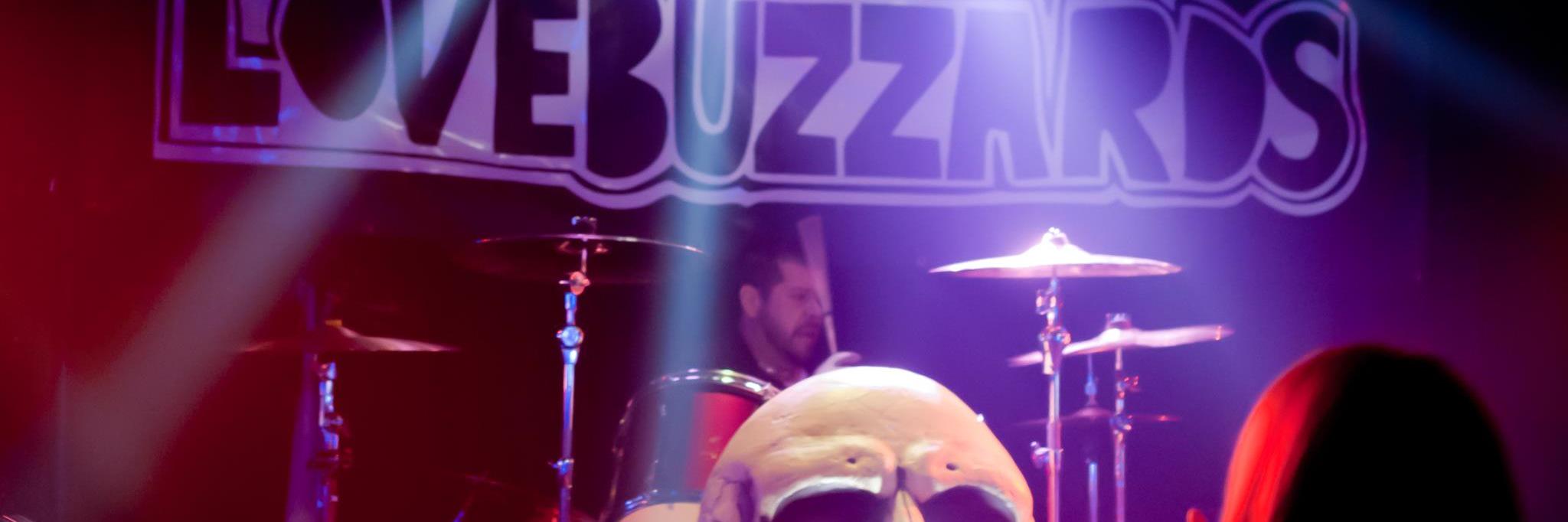 lovebuzzards's profile banner image