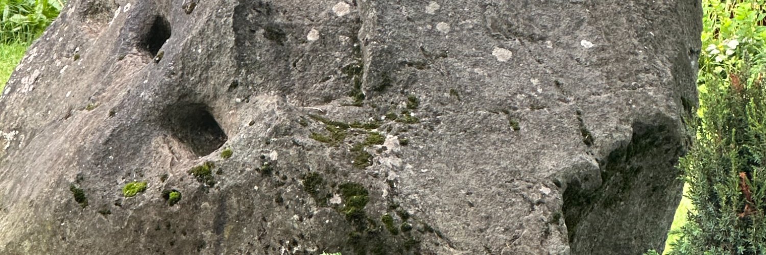 wrwollmann's profile banner image