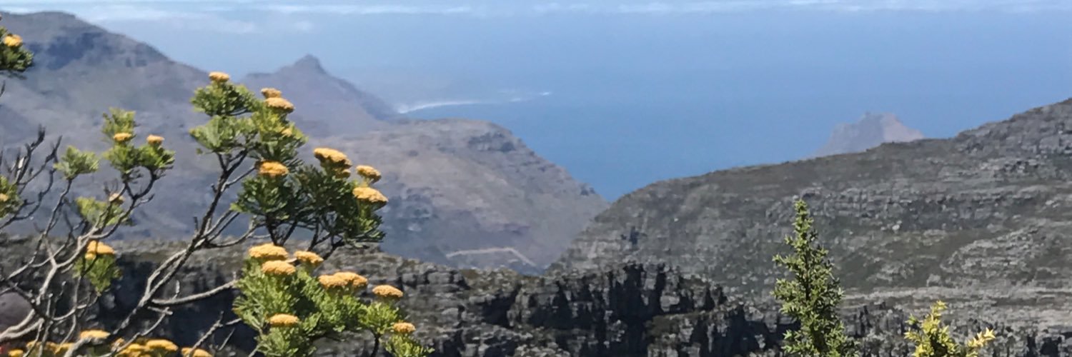 HarmanPip's profile banner image