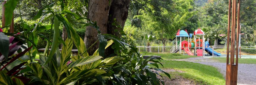 ARAGUACAFE's profile banner image