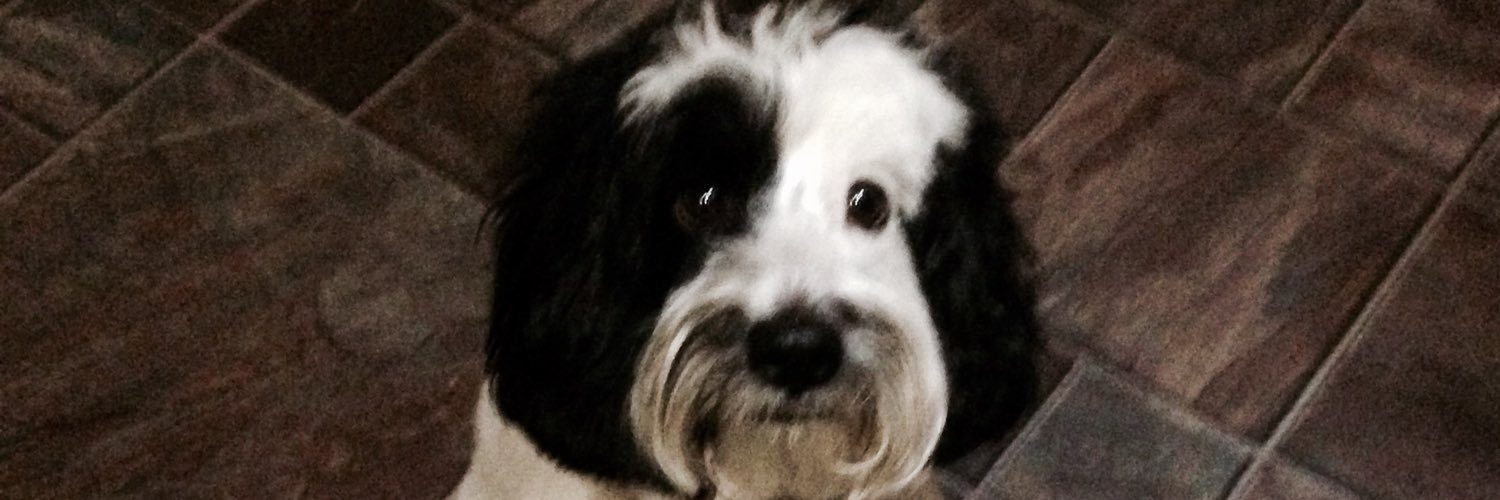 smiddysmide's profile banner image