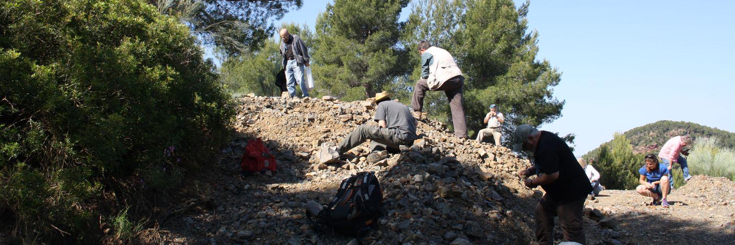 Grup Mineralògic Cat banner