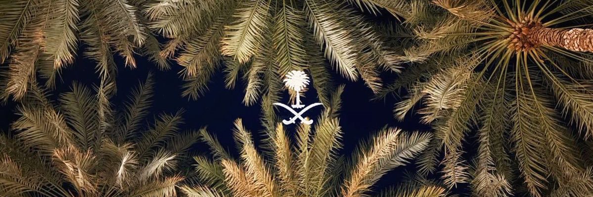 1llsk's profile banner image