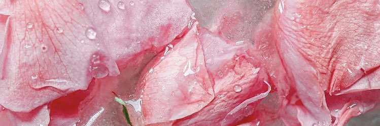 Spasmodica_'s profile banner image