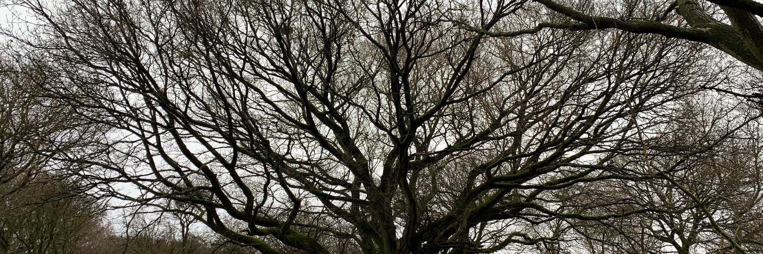 Victoria Topham banner